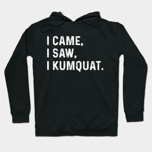 I Came I Saw I Kumquat Hoodie